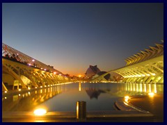 City of Arts and Sciences by night 23